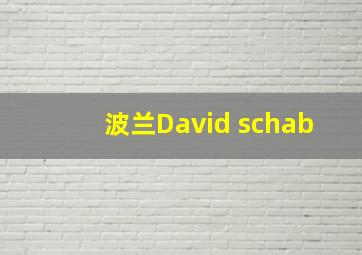 波兰David schab